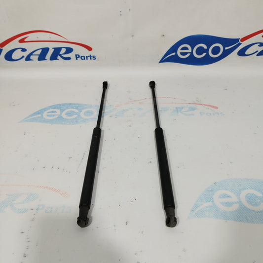 Ammortizzatori portellone Ford Ka 2010 codice 51794232 ecoAC3321