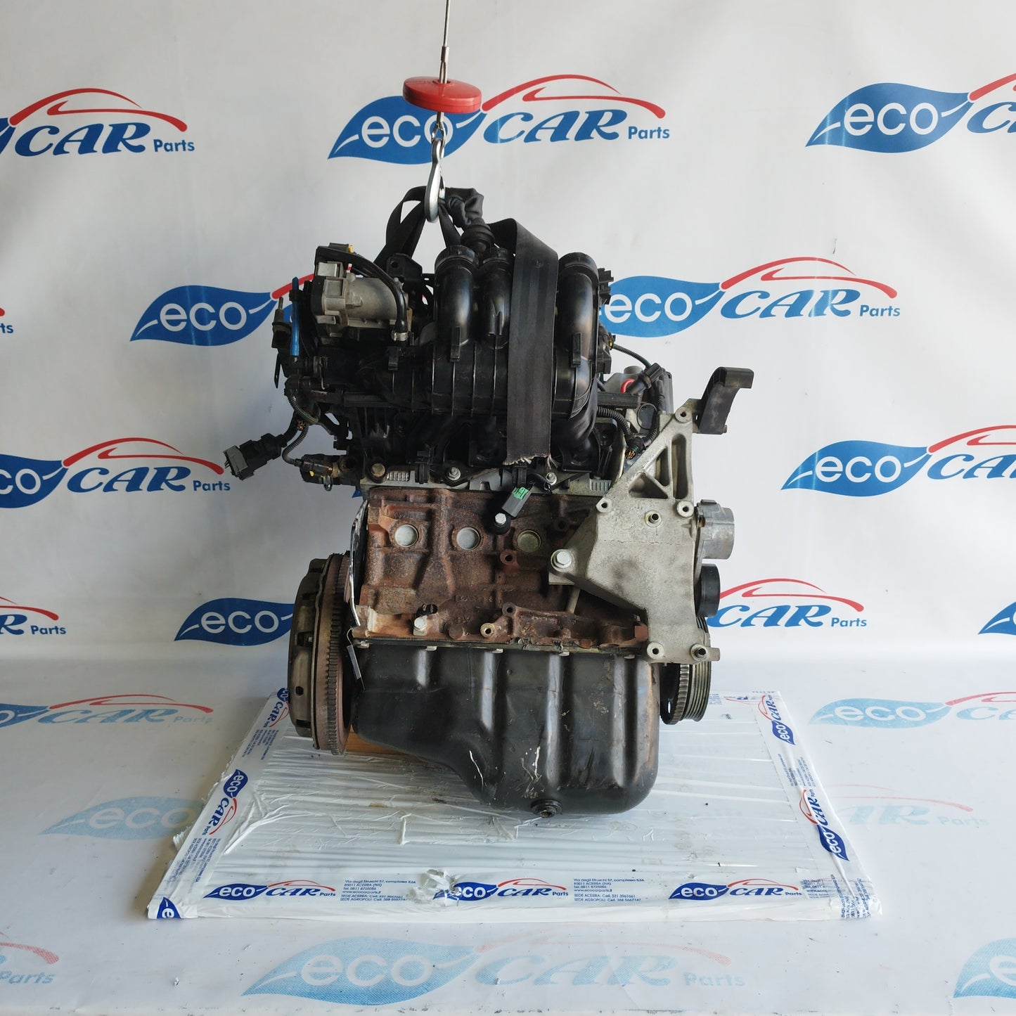 Motore Fiat Punto Evo/500/Panda/Lancia Y/Ford ka 1.2b 8v 70cv 2012 codice 169a4000 ecoAC3427