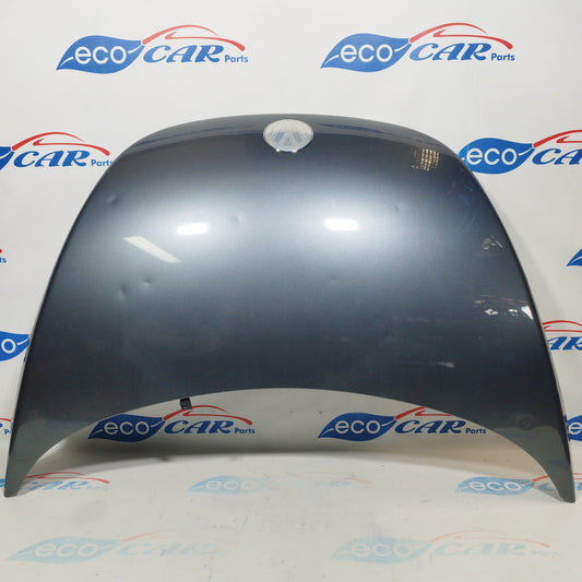 Cofano grigio scuro Volkswagen New Beetle 2003 ecoAC3775