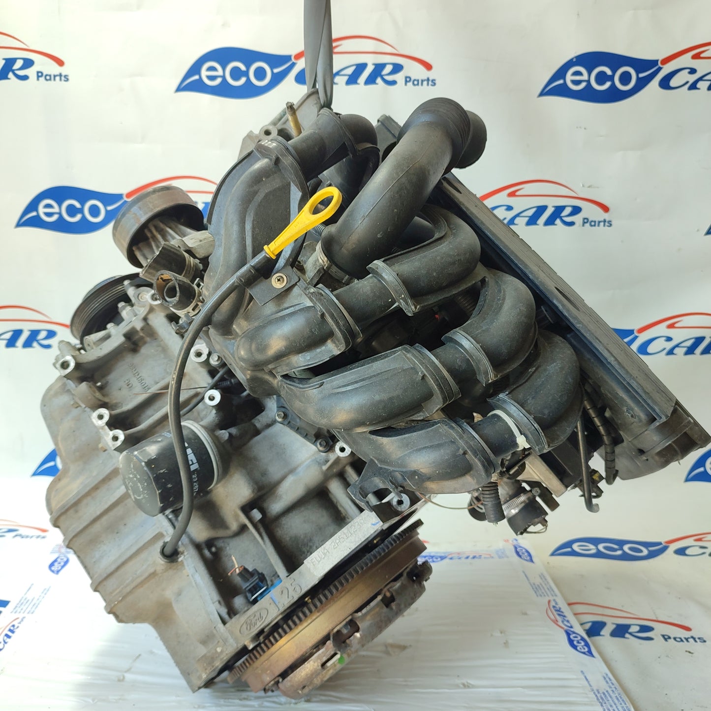 Motore Ford Fiesta 1.2 Benzina 16v 75cv 2004 codice: FUJA ecoAG1551