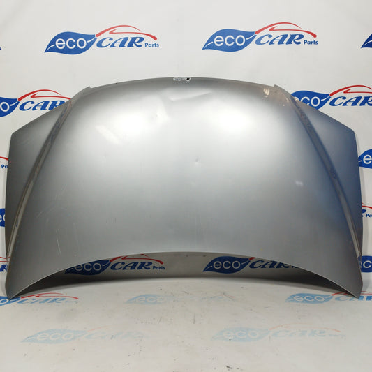 Silver gray bonnet Fiat Multipla 2008 ecoAC4113