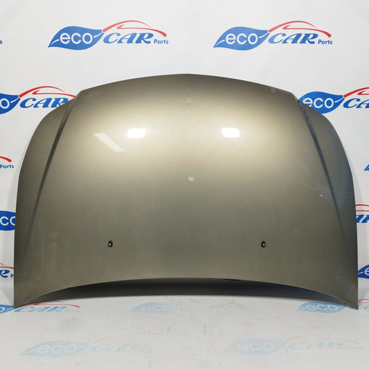 Cofano oro Fiat 16 2009 ecoAC4127