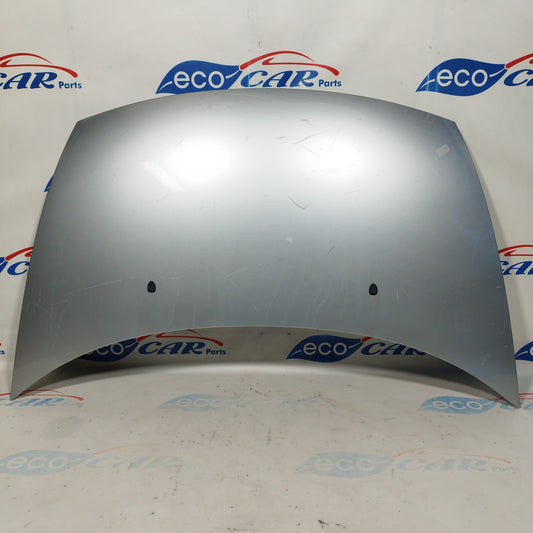 Silver gray bonnet Citroen C3 2005 ecoAC4132