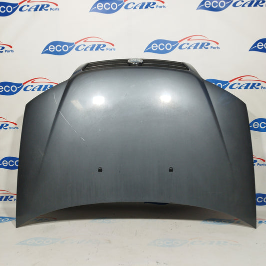 Cofano grigio Fiat Punto 2005 ecoAC4160