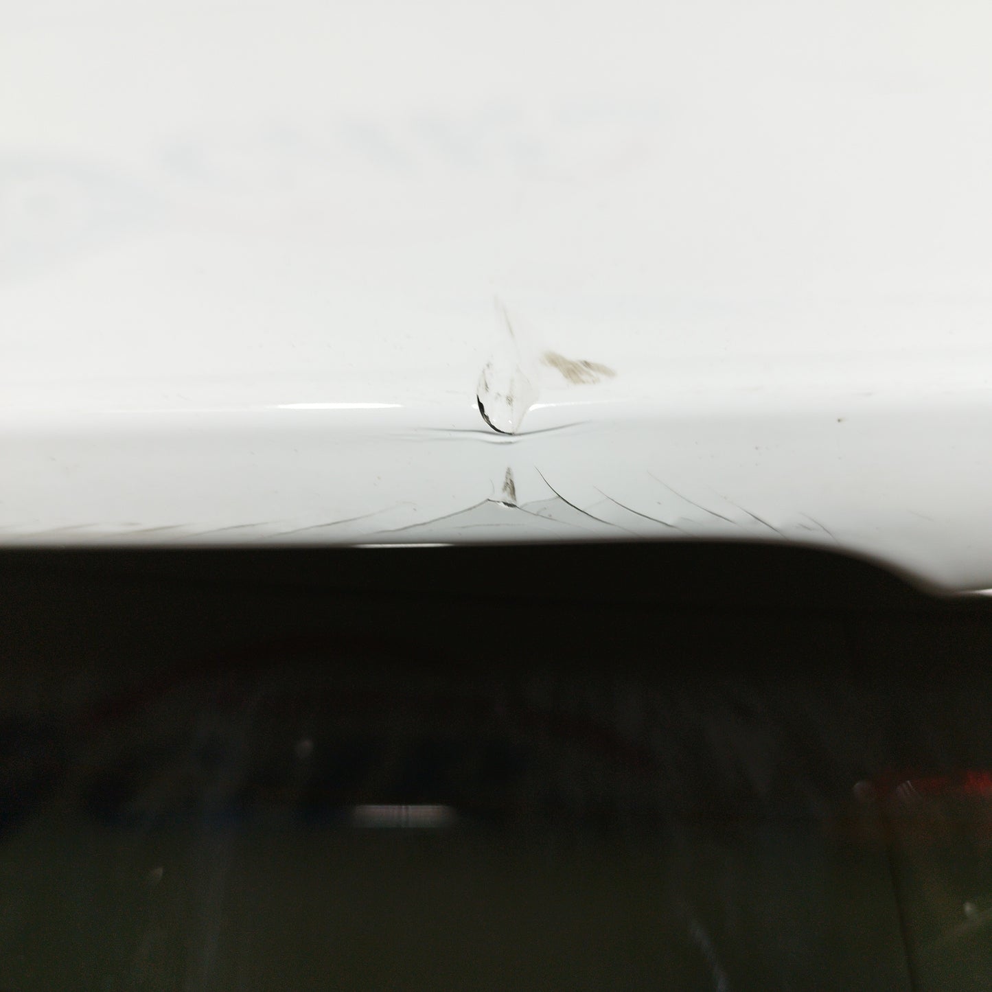 Portellone bianco Ford Focus Berlina 2017 ecoAC4247