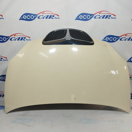 Beige Motorhaube Lancia Y 2005 ecoAC4396