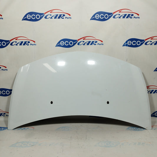 White bonnet Renault Clio 2010 ecoAC4444