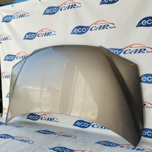 Mirage grey bonnet (fiat 610) Fiat Multipla II series ecoAG2563