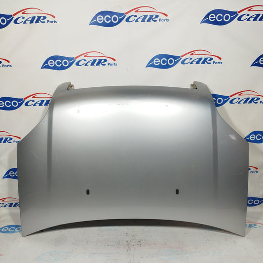 Silver gray bonnet Ford Fusion 2004 ecoAC4960