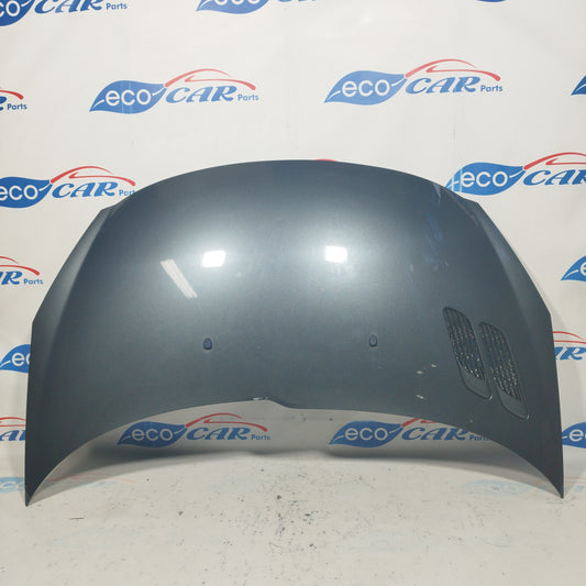 Dunkelgraue Motorhaube Peugeot 206 Plus 2008 ecoAC6289