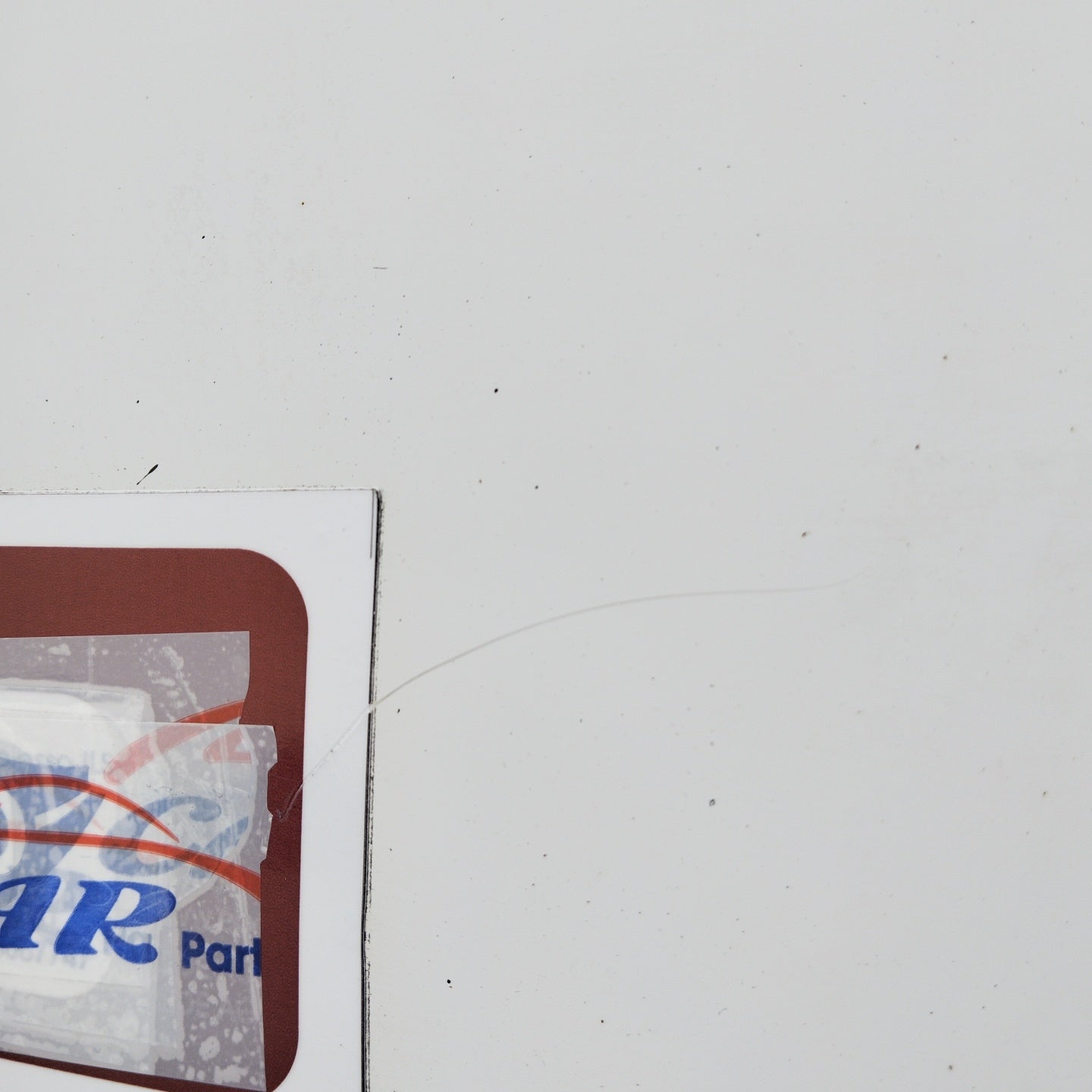 Weiße vordere rechte Tür Fiat Qubo 2011 ecoAG4251