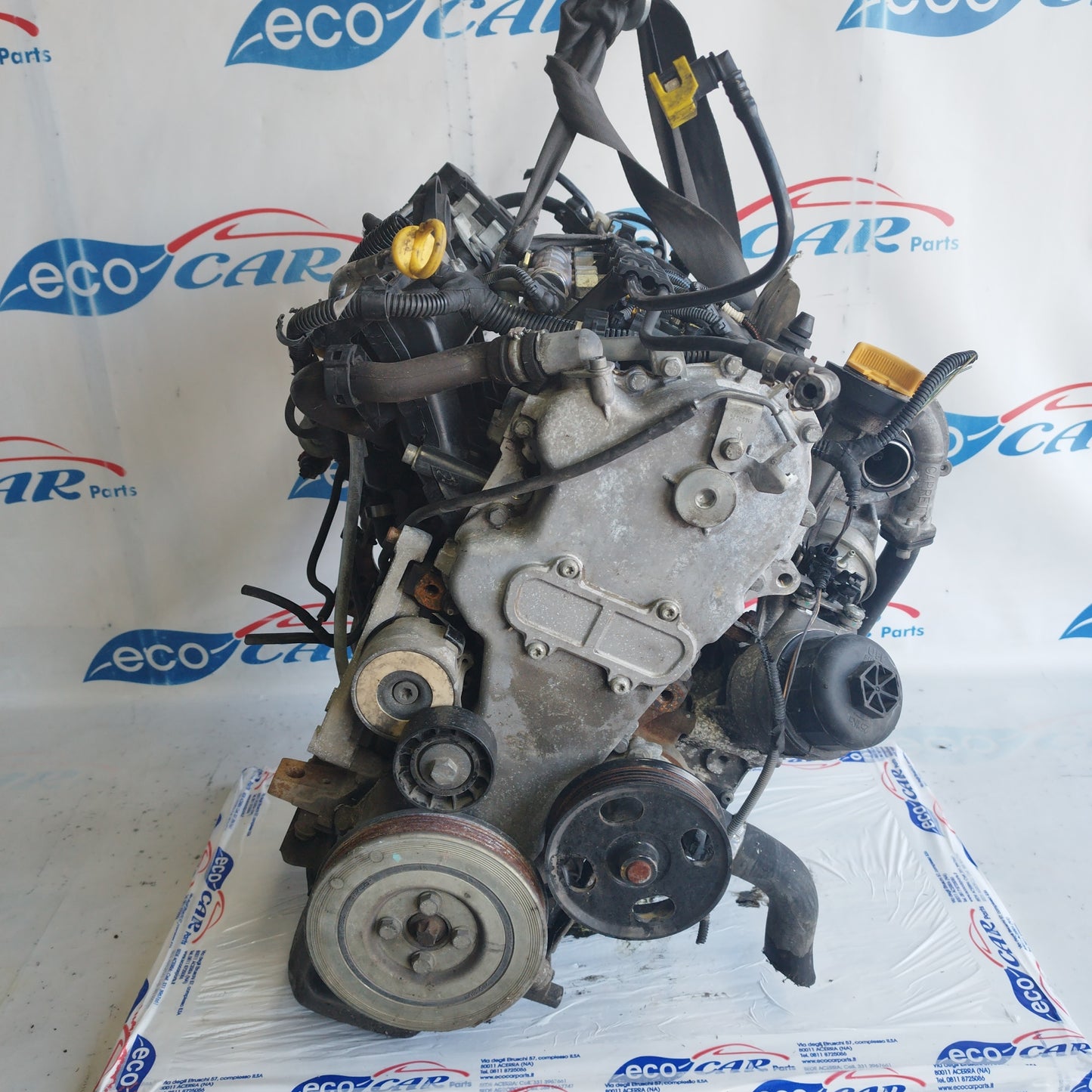 Motore Fiat Panda 1.3 MTJ 75CV 2012 cod: 169A5000 ecoAC7091