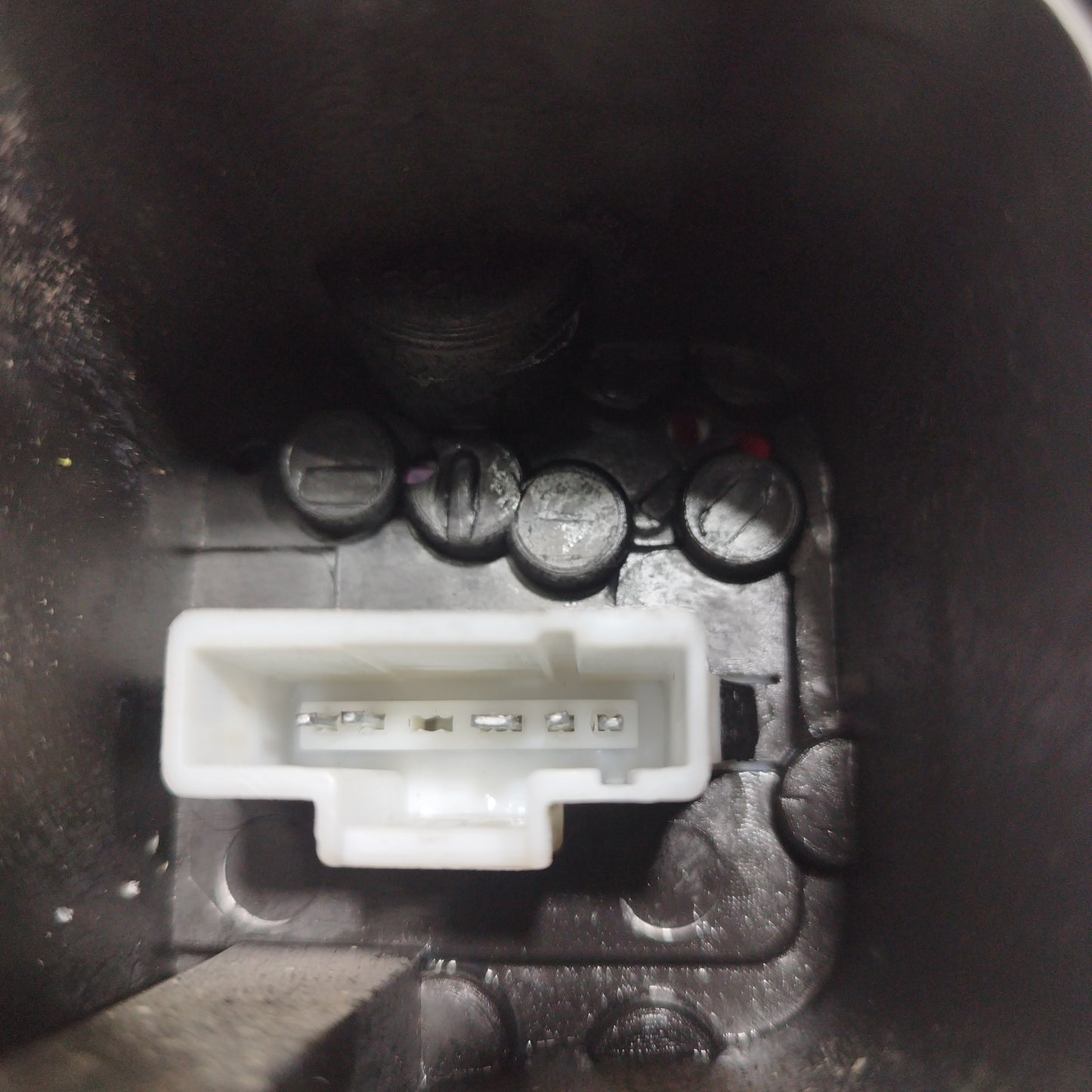 Fanale posteriore dx Peugeot 206 SW 2005 ecoAC7542