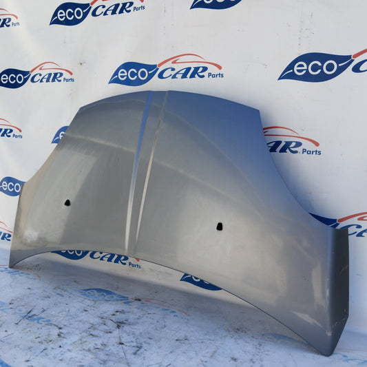 DR1 bonnet 2010 gunmetal gray ecoAG4740