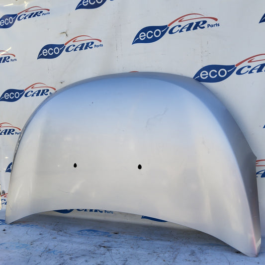 Cofano grigio argento Dacia Lodgy ecoAG4965