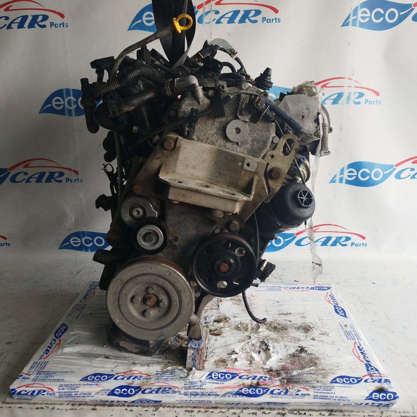 Engine Fiat Punto Evo / 500 / Panda 1.3 Mjt 16v 75cv 2012 cod. monobloc 199b1000 ecoAC8053