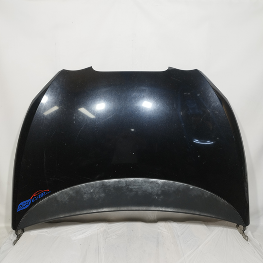 Schwarze Motorhaube Seat Leon 2009 ecoAC13347