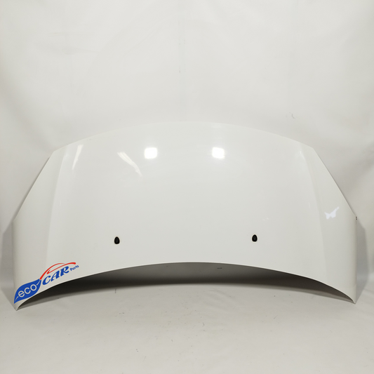 Weiße Motorhaube Citroen C3 2011 ecoAC11648