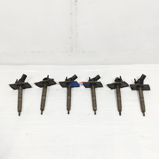 Iniettori Audi A6 3.0 TDI 2006 Cod: 0445115037 ecoAC14076