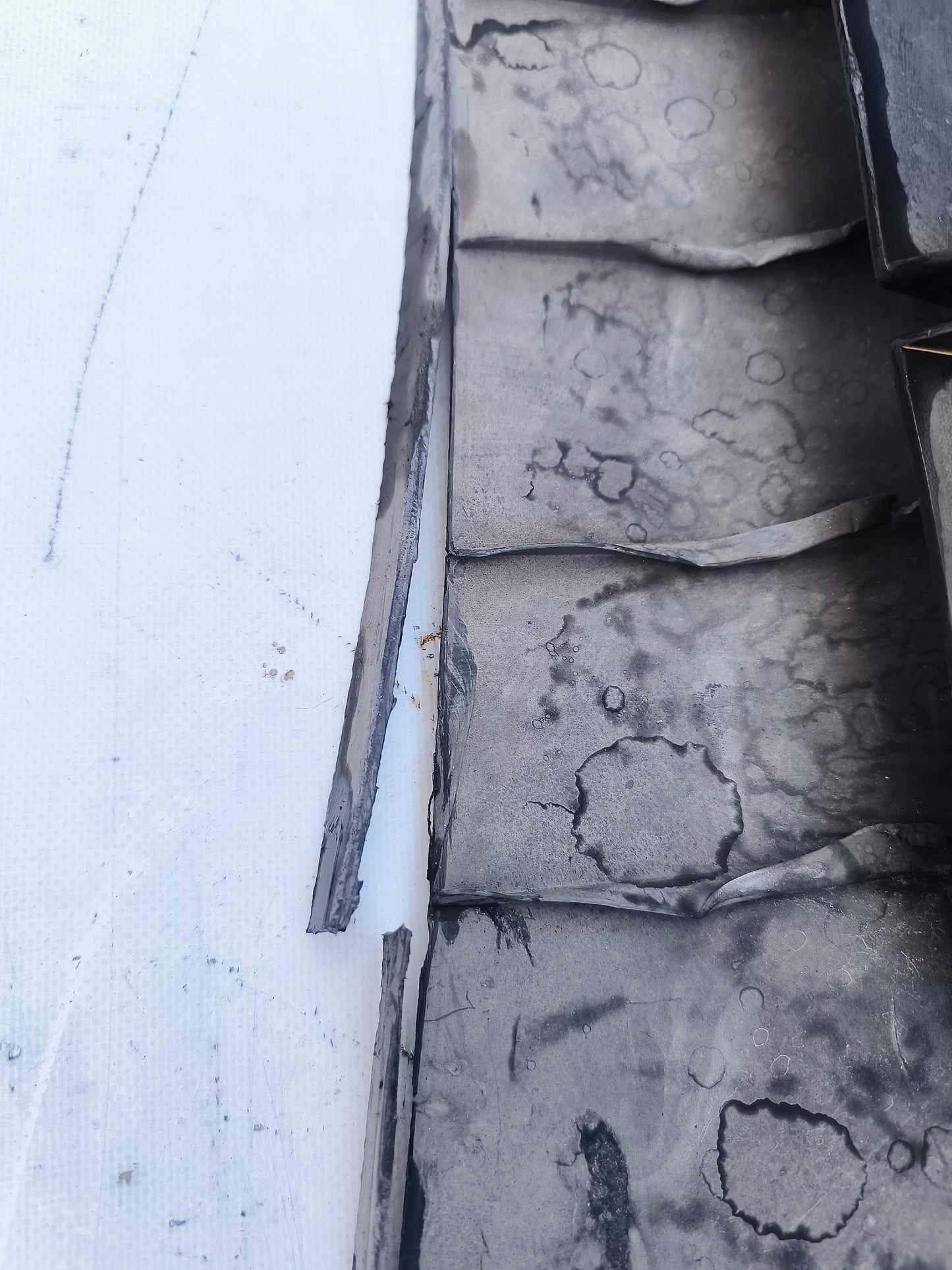 Paraurti anteriore blu Volkswagen Golf 4 ecoAG7219