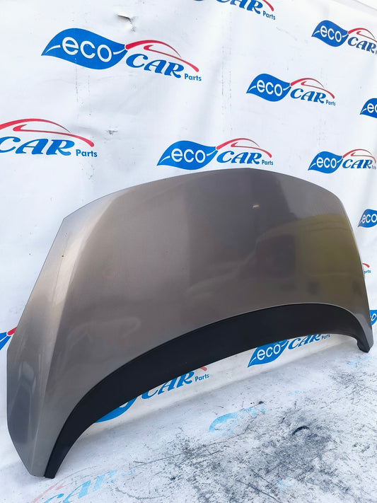 Opel Meriva B ecoAG5813 graue Motorhaube