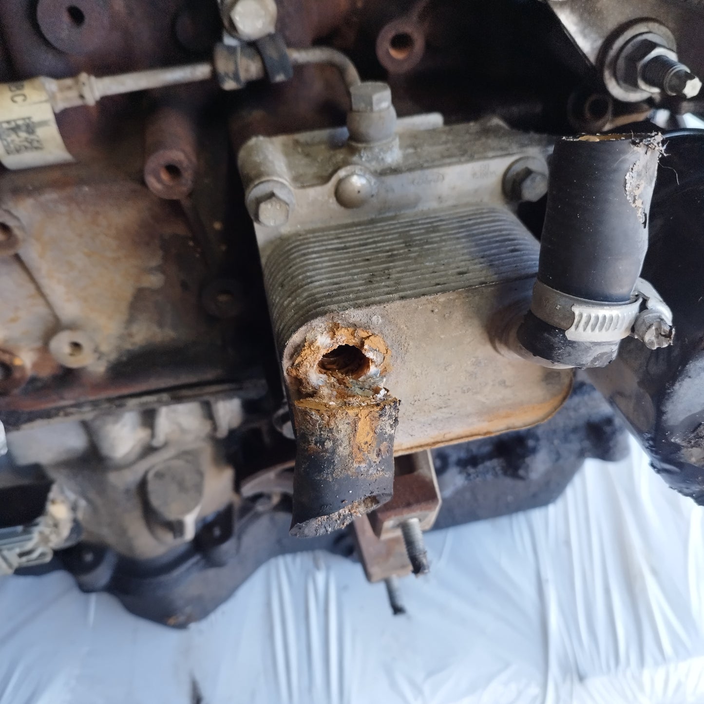 Motore Ford Transit Connect 1.8 TDCI 2007 Cod: R3PA ecoAC14141