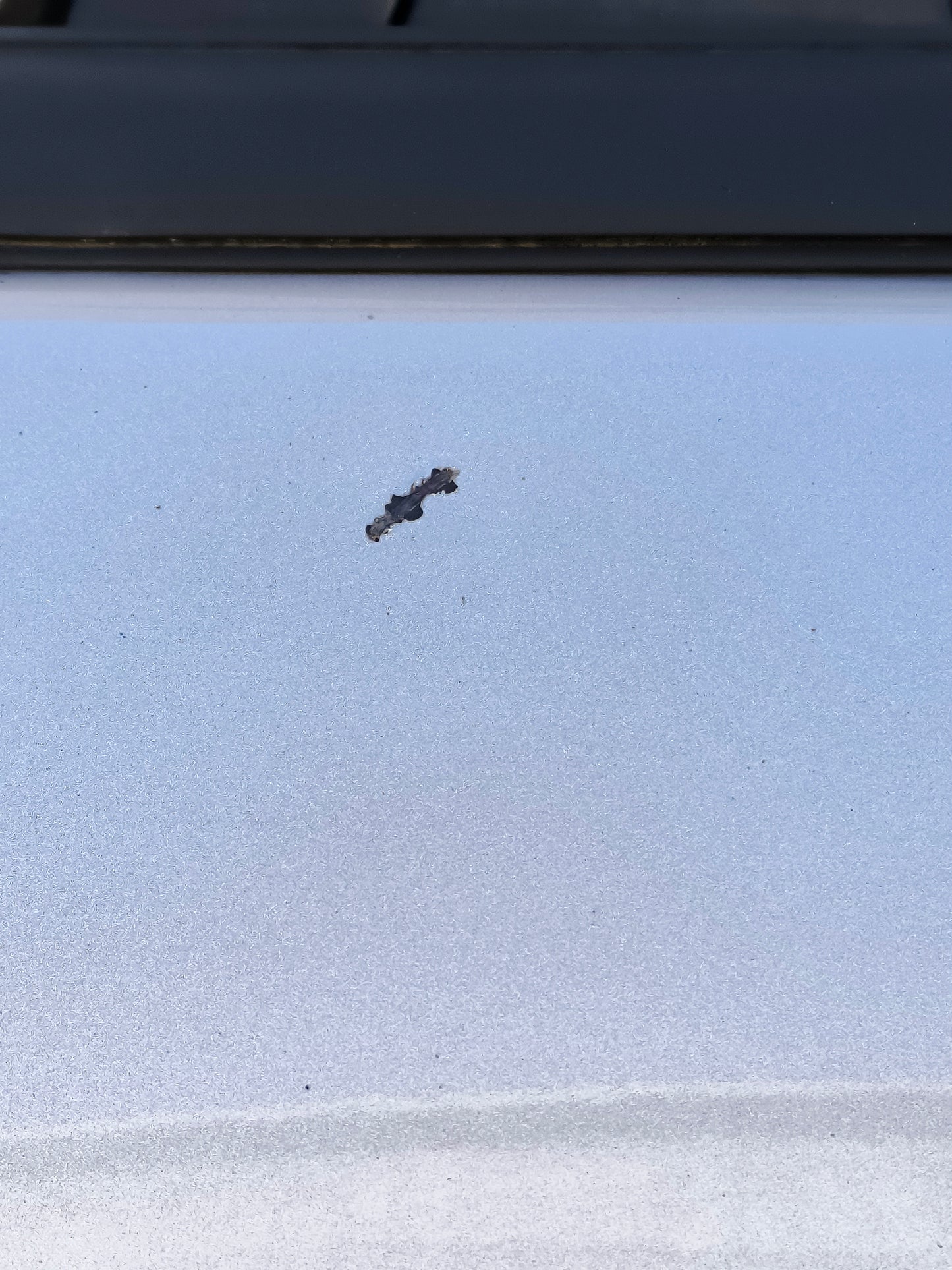 Rear right door silver grey Ford Fiesta 2011 ecoAG6060