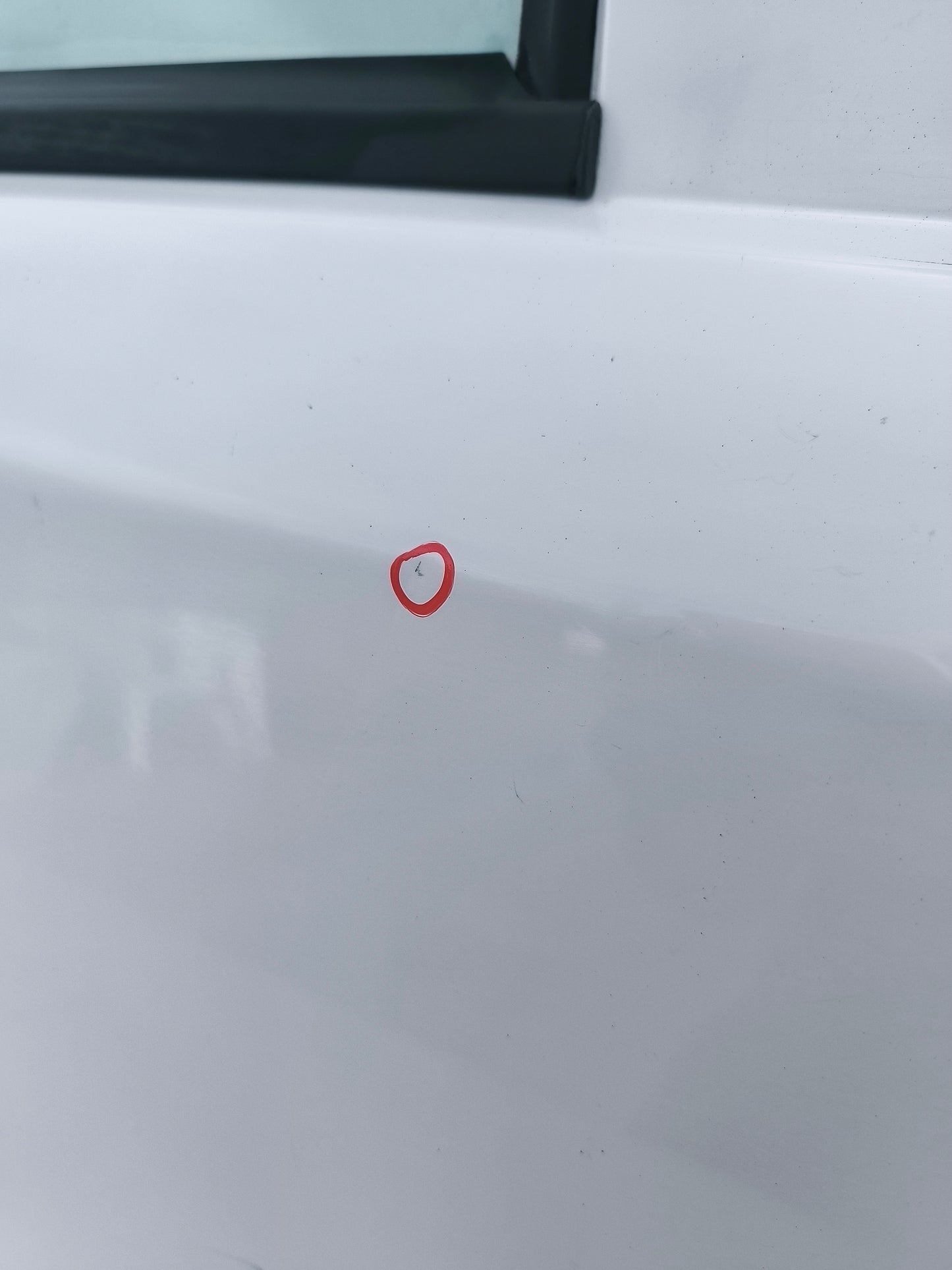 Sportello posteriore dx bianco Fiat Panda 169 ecoAG7475