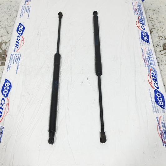 Ammortizzatori portellone Smart ForFour 2014 Cod: A4539800164 ecoAC10756