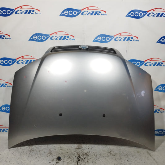 Graue Motorhaube Fiat Punto 2005 ecoAC10058