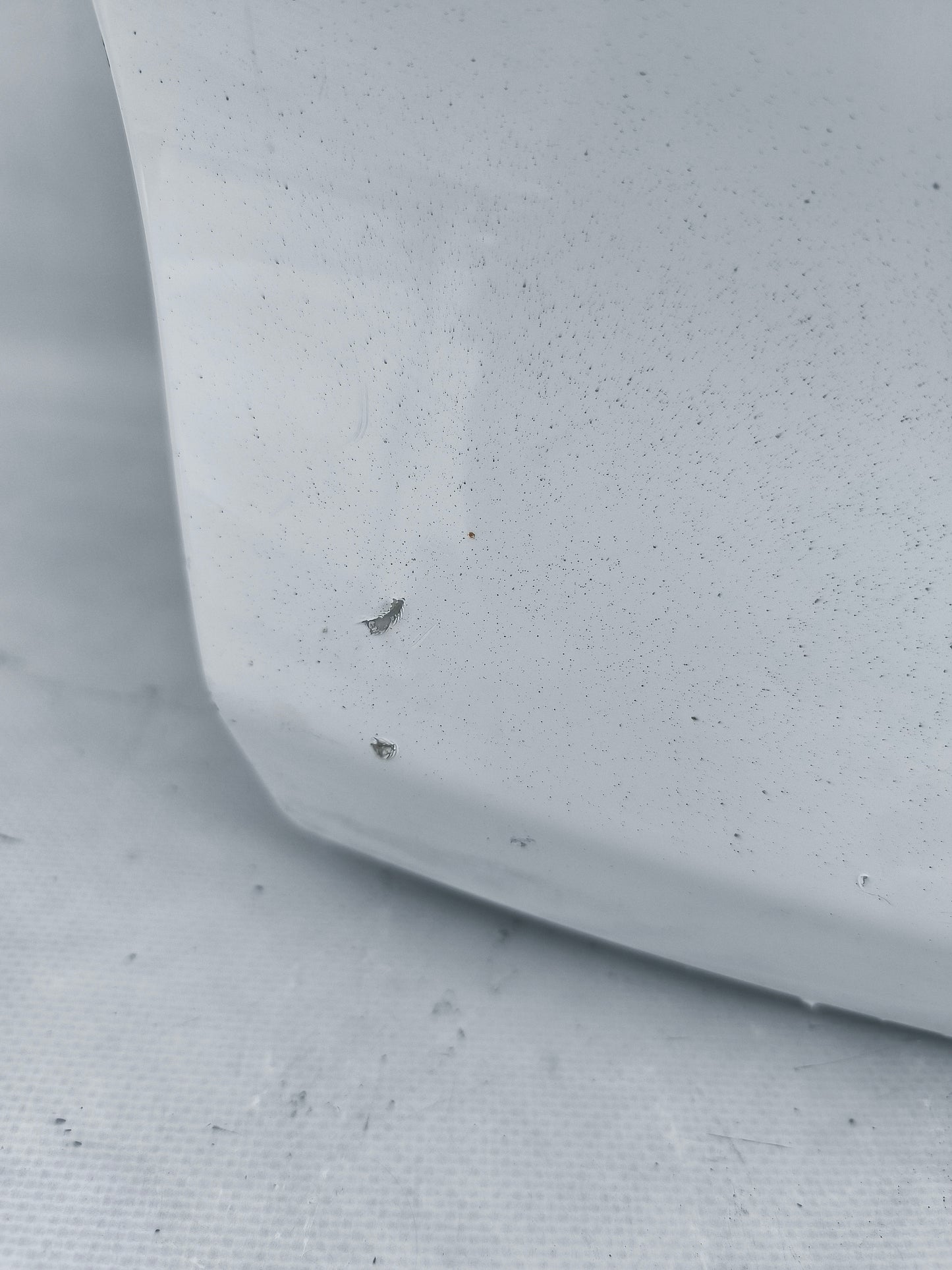 Portellone bianco Ford Focus SW anno 2015 ecoAG7455