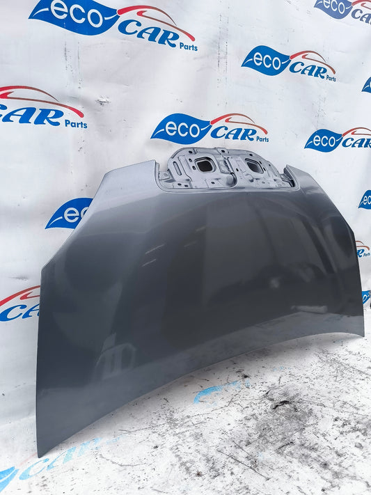 Botticelli-graue Motorhaube Lancia Musa 2010 ecoAG6024