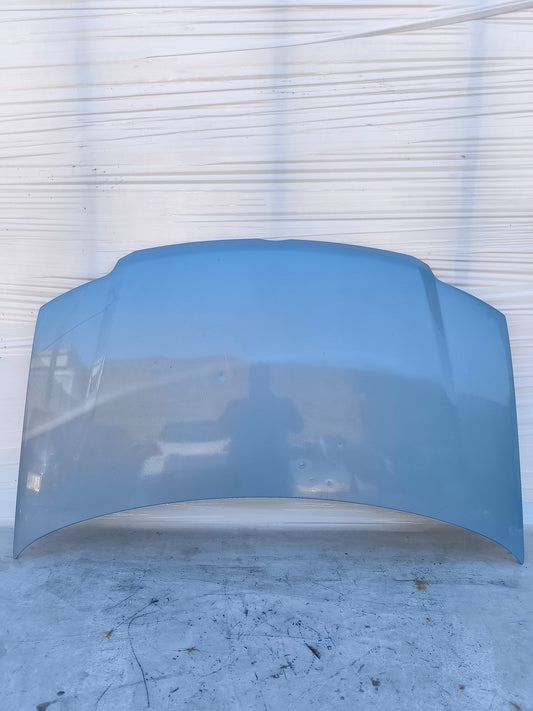 Cofano celeste Fiat Panda 169 2003-2011 ecoAG7946
