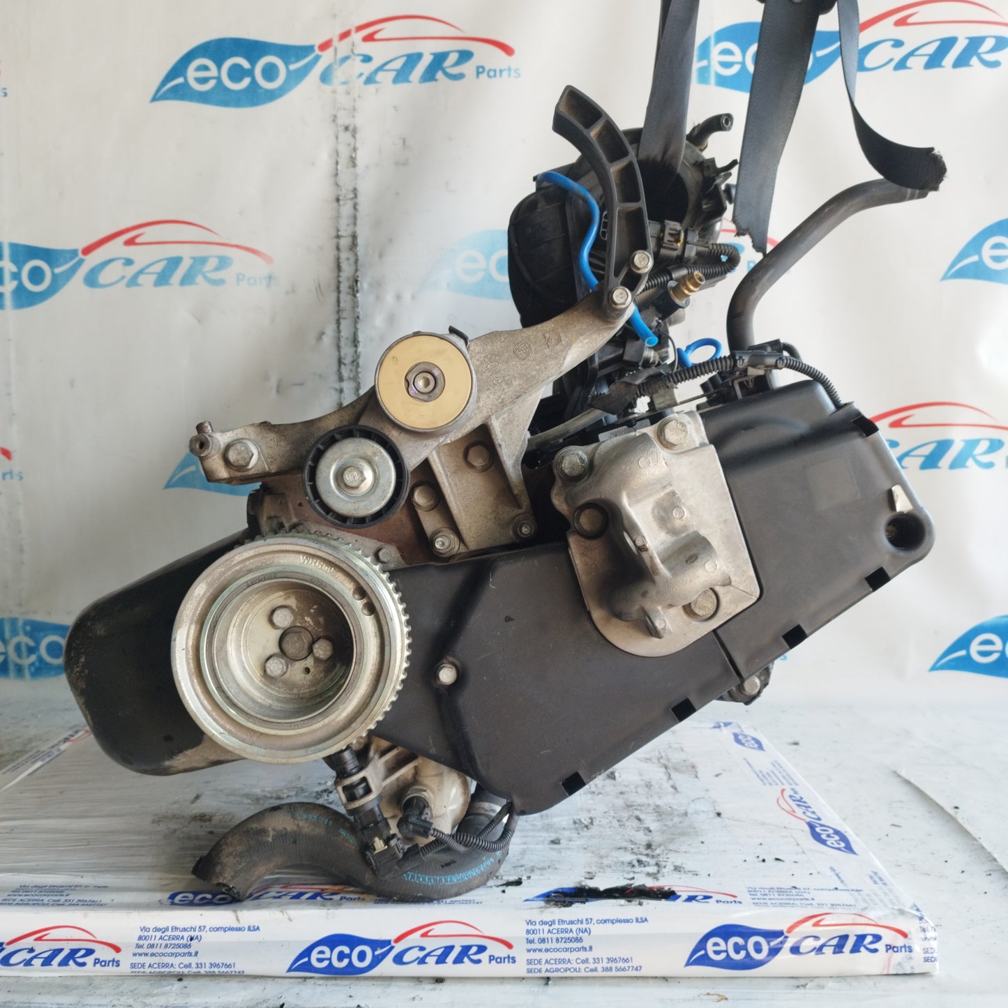 Motore Fiat Punto Evo / 500 / Panda / Lancia Y / Ford Ka 1.2 b 8v 70cv 2010 cod: 169a4000 ecoAC10208