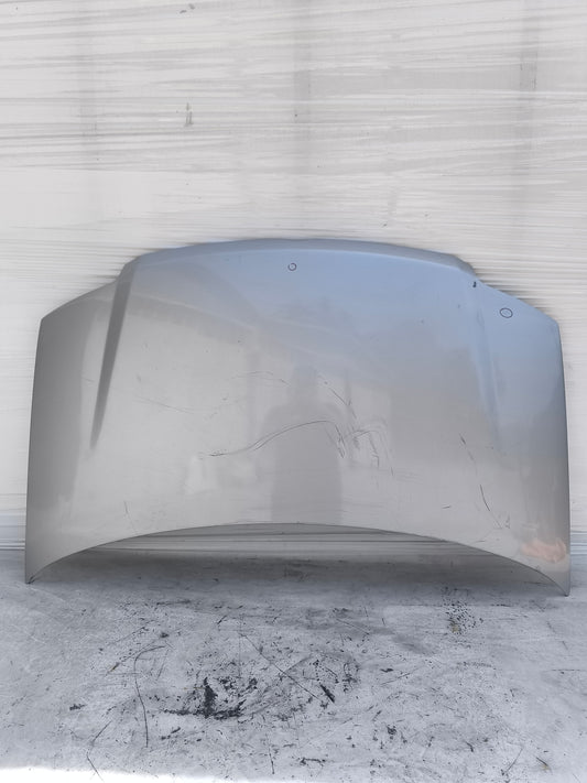 Cofano grigio argento Fiat Panda 169 2003-2011 ecoAG8214