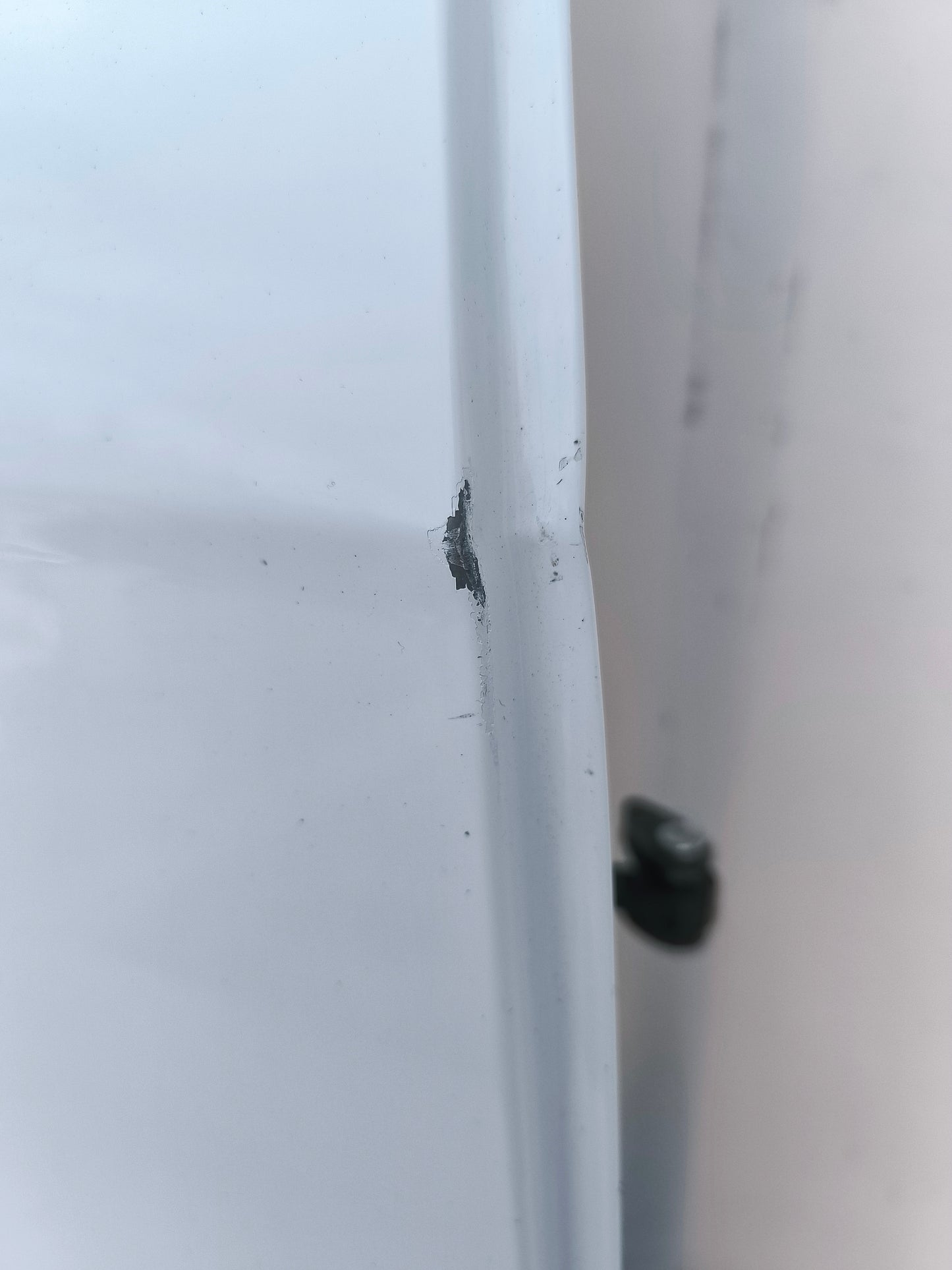 Sportello posteriore dx bianco Ford Focus SW anno 2015 ecoAG7472