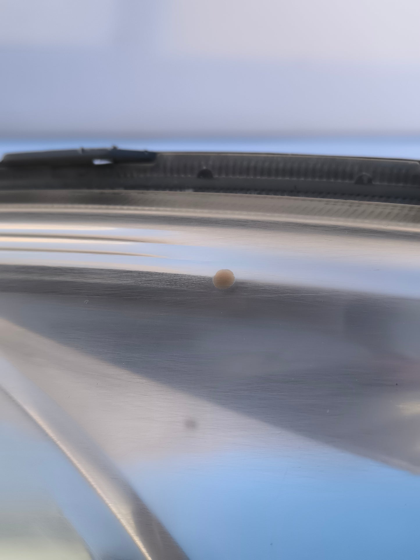 Left front light Toyota Yaris Verso year 2005 ecoAG6832