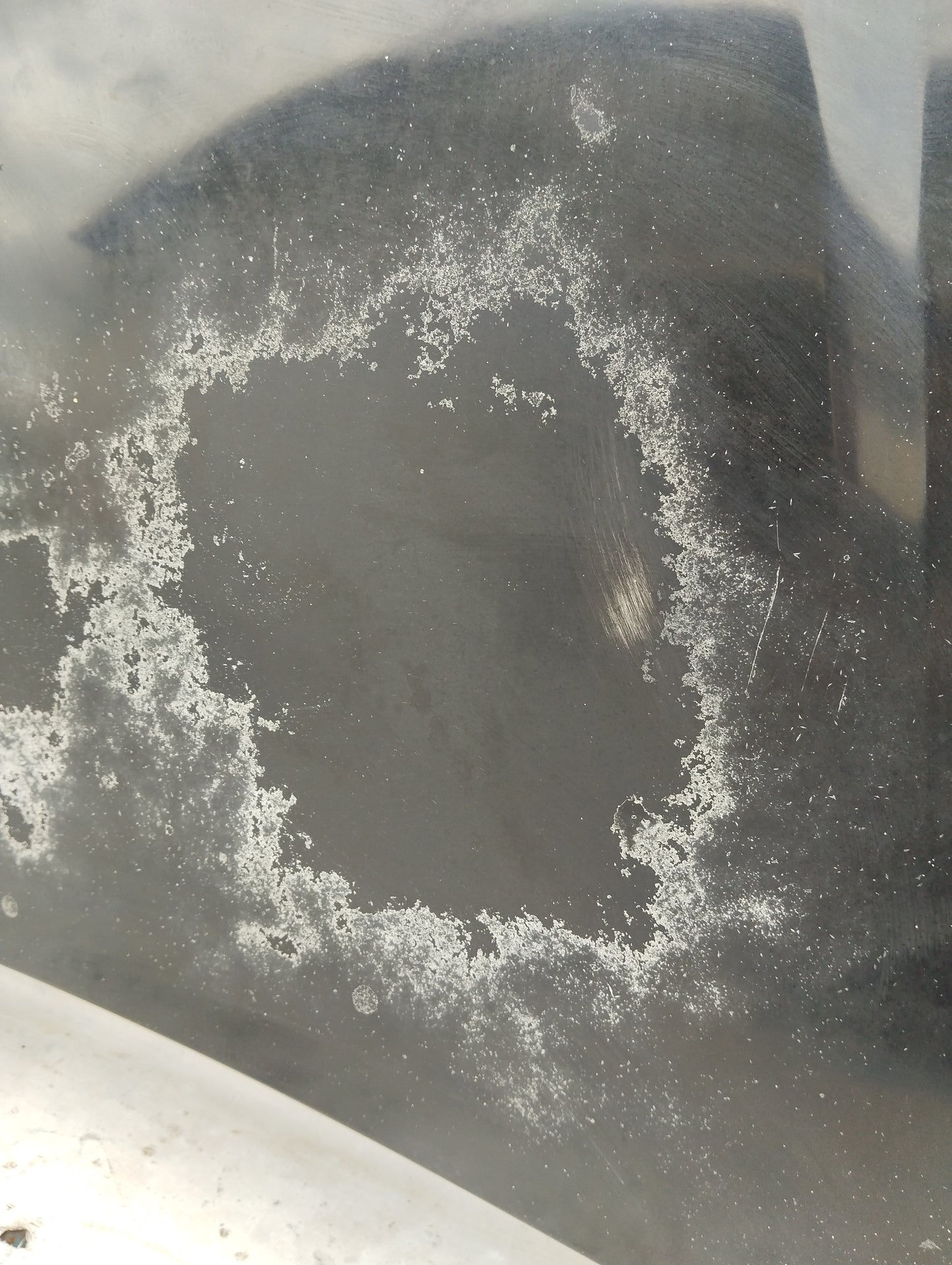 Cofano anteriore nero Fiat Panda 169 ecoAG5603