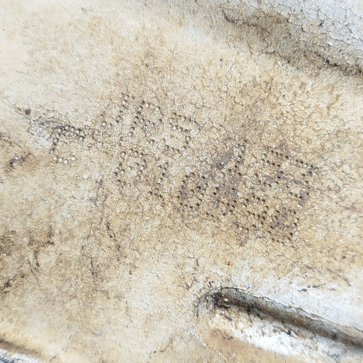 Cambio manuale Renault Kangoo 1.6 B 2008 Cod: jr5153 ecoAC13627