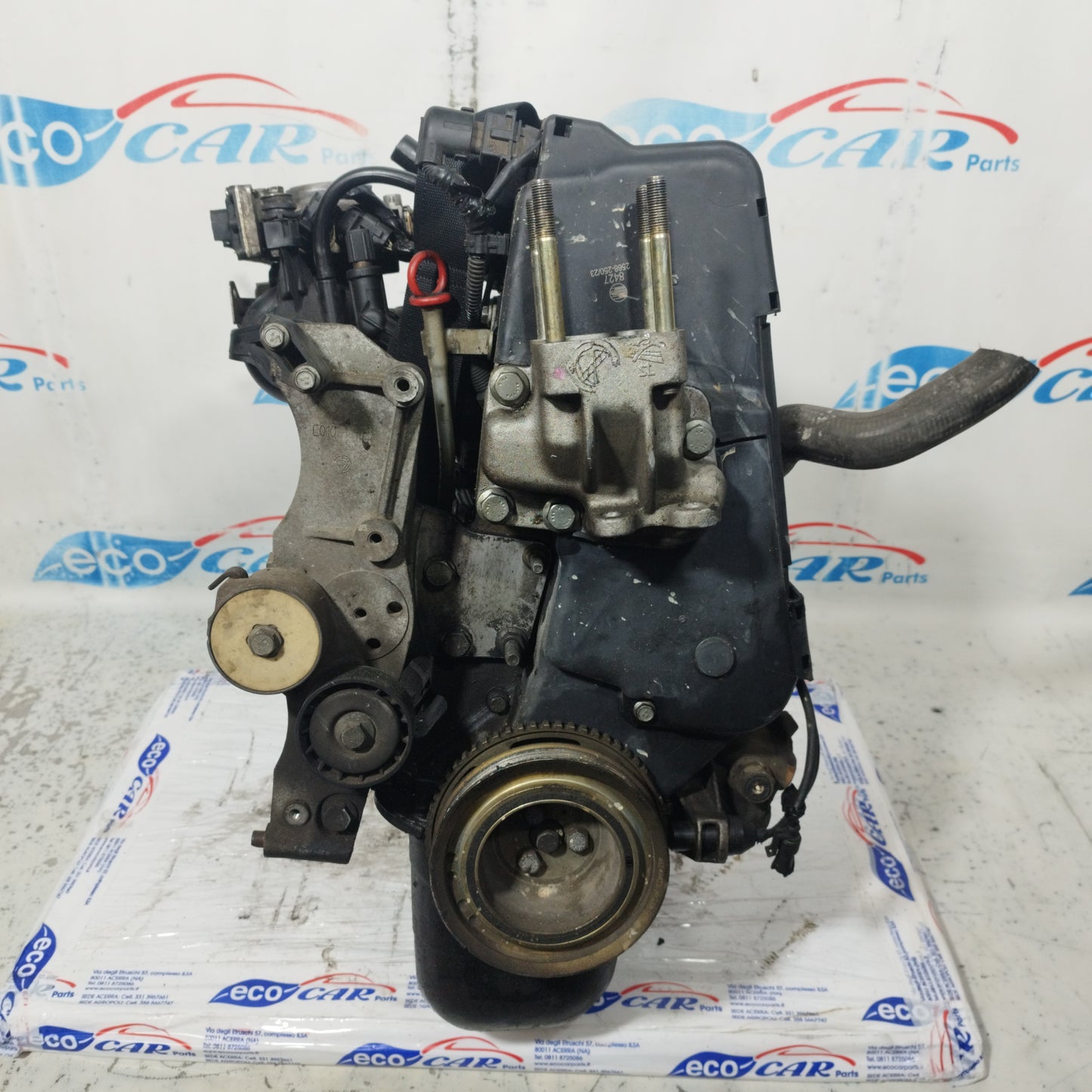 Motore Fiat Punto 1.2 B 2001 cod: 188A4000 ecoAC9616