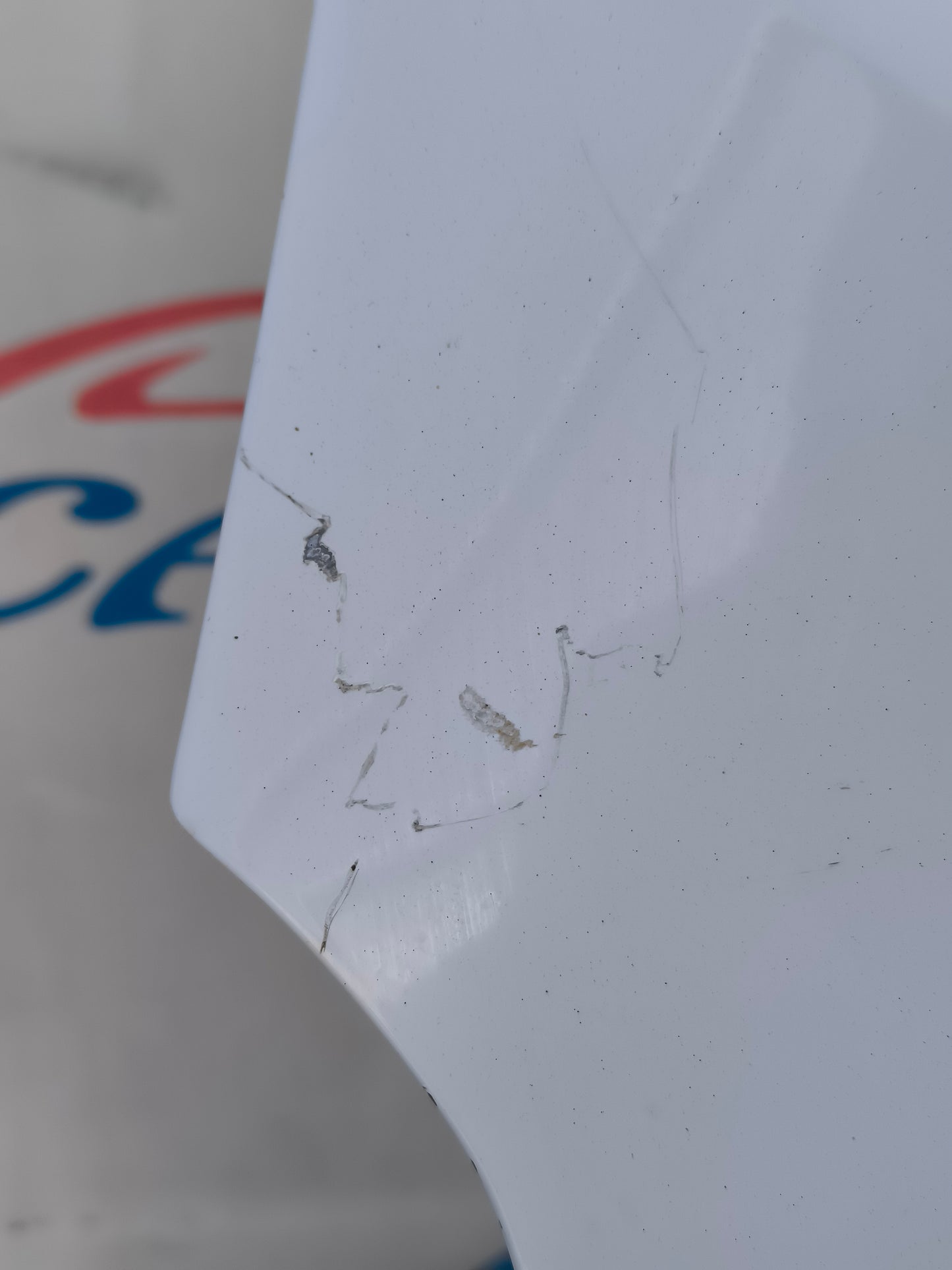 Portellone posteriore bianco Dacia Sandero 2012 ecoAG5912