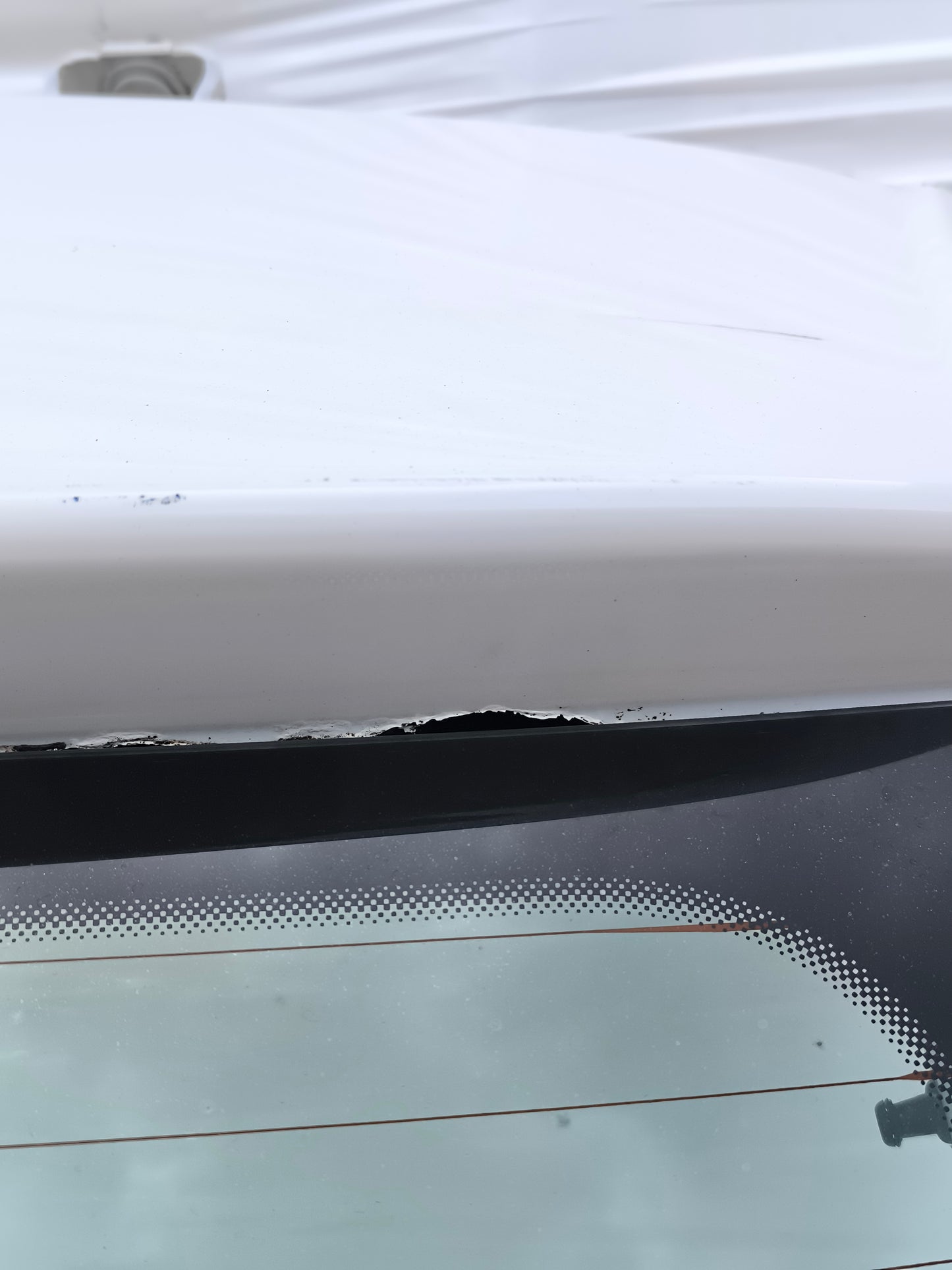 Portellone bianco Volkswagen Polo anno 2009-2017 ecoAG8000