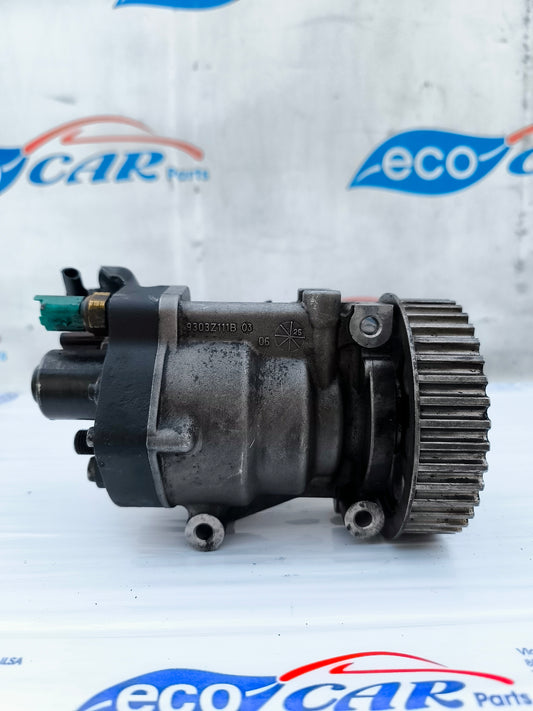 Delphi Einspritzpumpe Renault Clio / Kangoo / Scenic 1.5 DCI Teilenummer 9303z111b 03 ecoAG6054