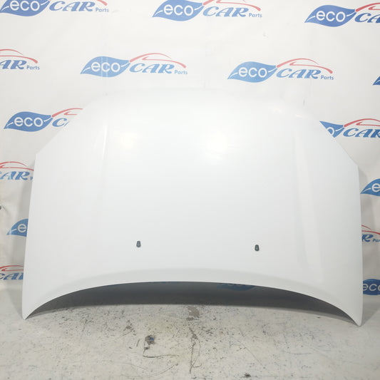 Weiße Motorhaube Dr5 2013 ecoAC2072