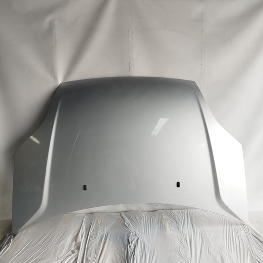 Cofano grigio Ford Fiesta 2007 ecoAC15844