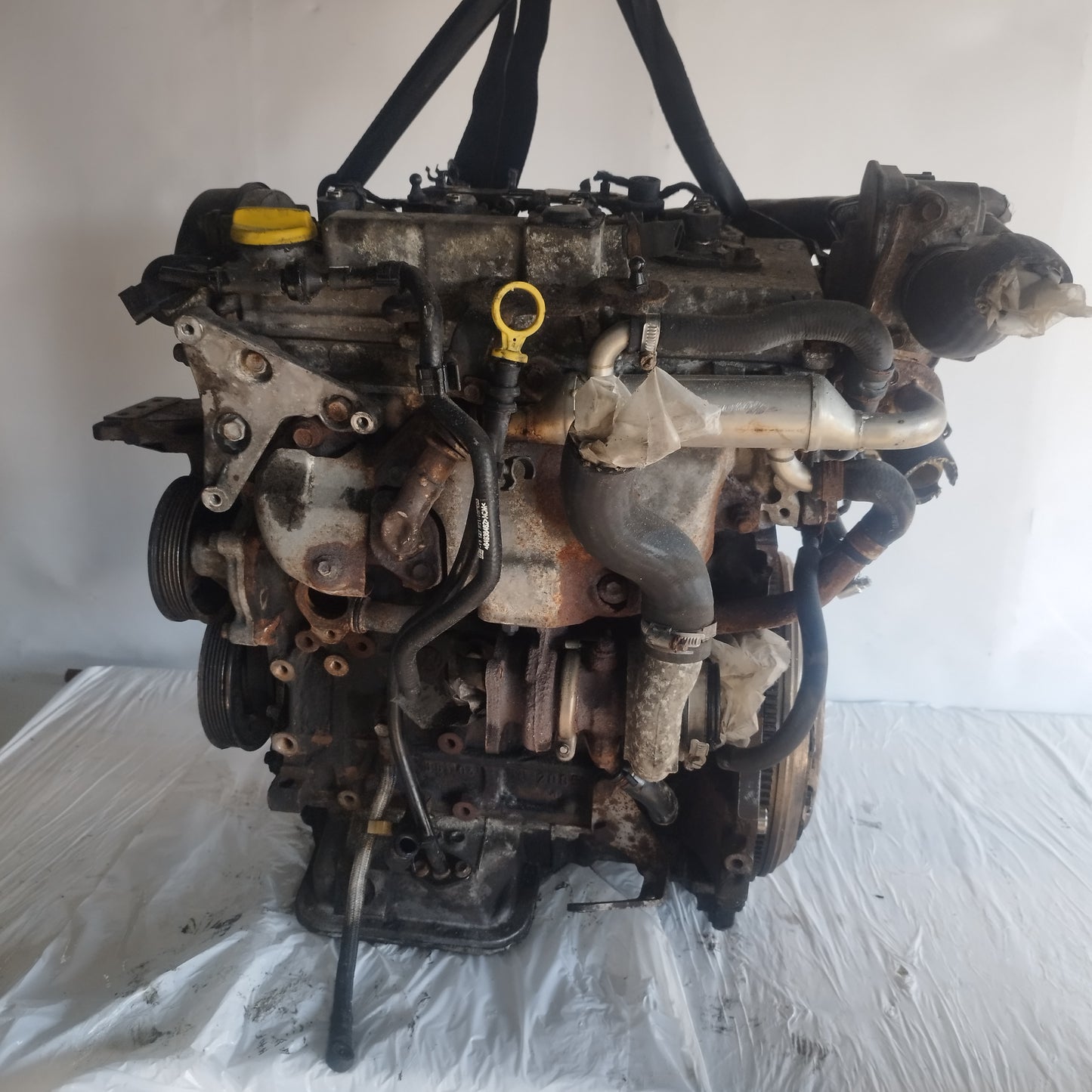 Opel Astra H 1.7 TD 2004 engine code: Z17DTL ecoAC7522