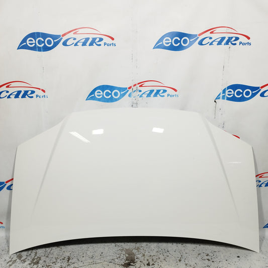 Weiße Motorhaube Fiat Idea 2005 ecoAC10472