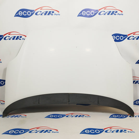 White ecoAC348 Fiat Grande Punto bonnet