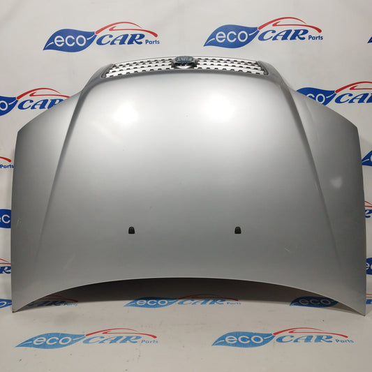 Cofano grigio garbato hwb Fiat punto 2005 (codice colore 612) ecoAC1499