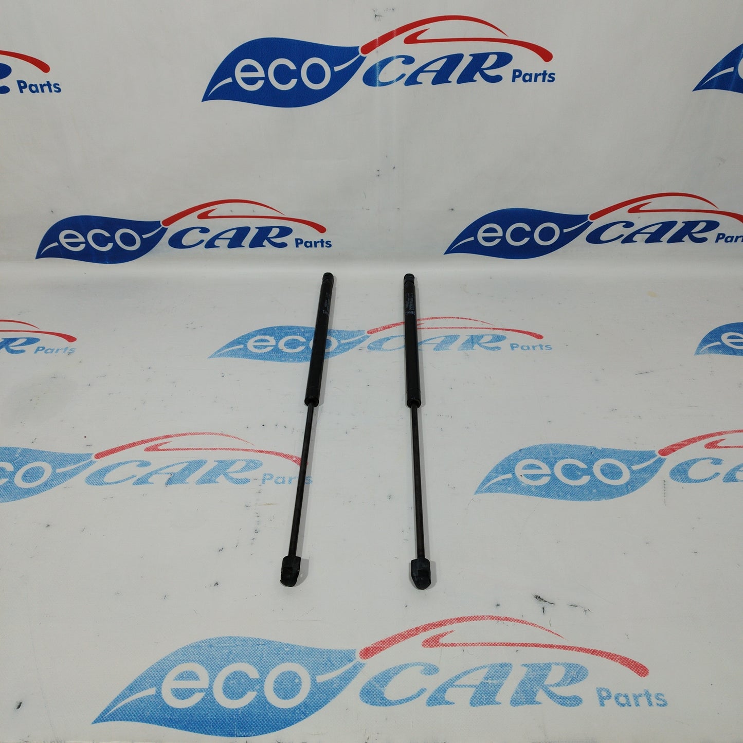 Tailgate shock absorbers Fiat 600 2008 ecoAC1952